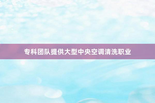 专科团队提供大型中央空调清洗职业